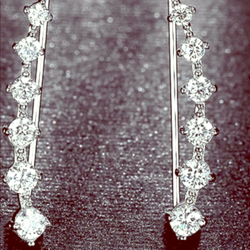 🍃💕Earring Climbers